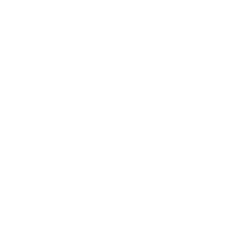 Vido Logo White